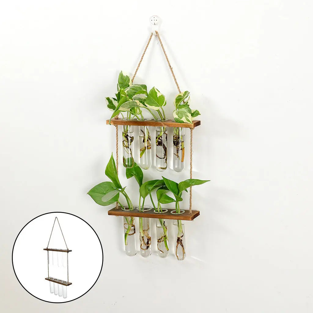 Wall Hanging Terrarium Flower Glass Planter Propagator for Plant Garden Treasure of gems