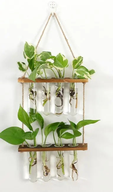 Wall Hanging Terrarium Flower Glass Planter Propagator for Plant Garden Treasure of gems