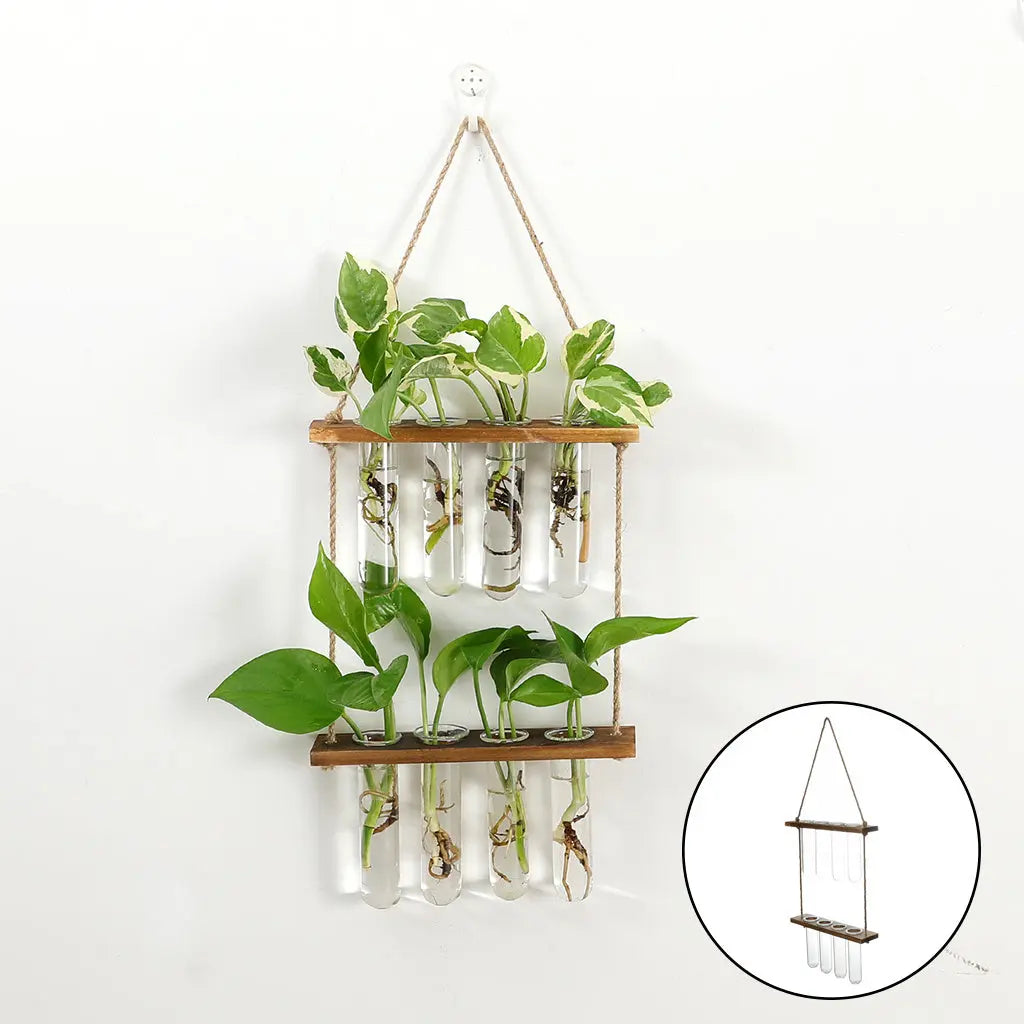 Wall Hanging Terrarium Flower Glass Planter Propagator for Plant Garden Treasure of gems