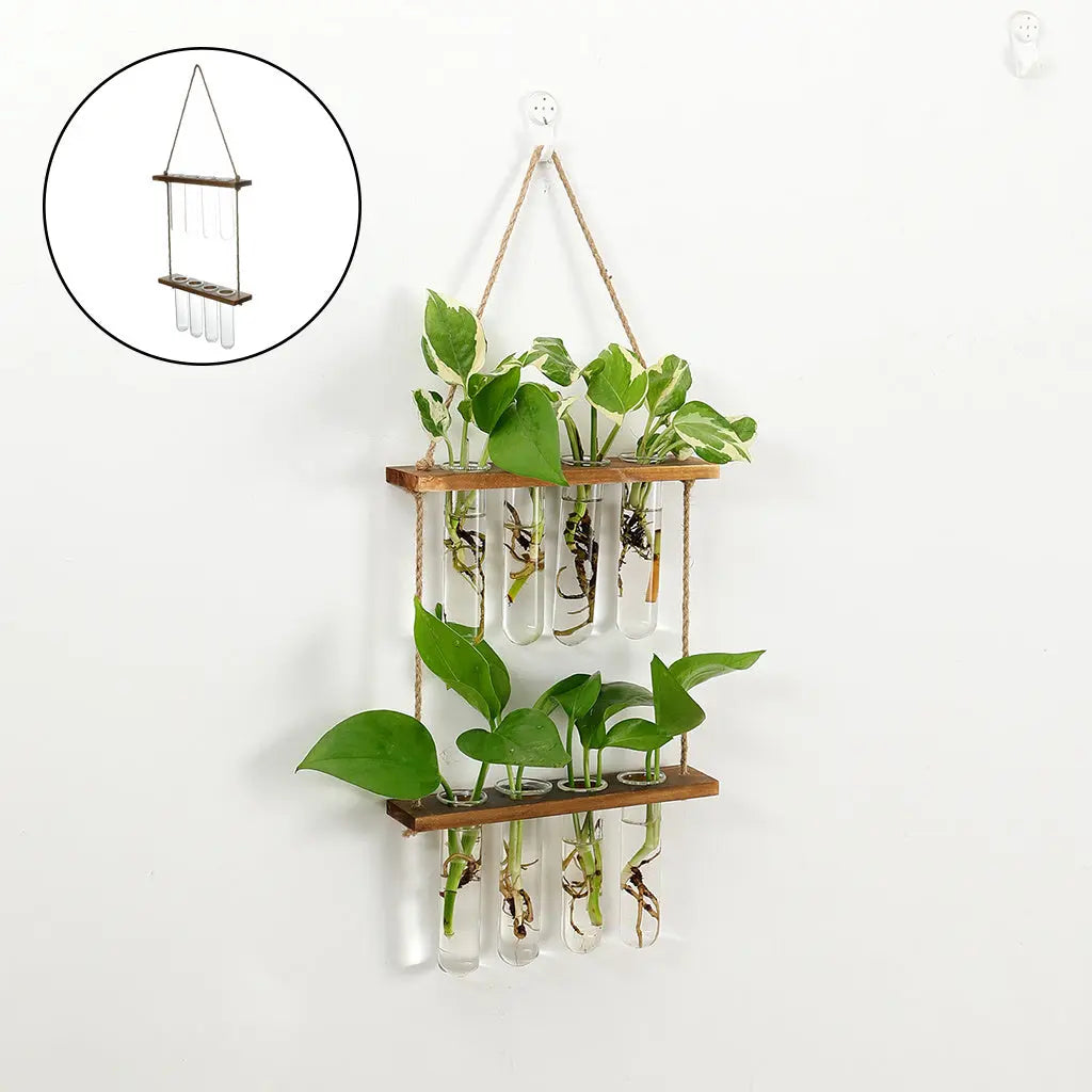 Wall Hanging Terrarium Flower Glass Planter Propagator for Plant Garden Treasure of gems