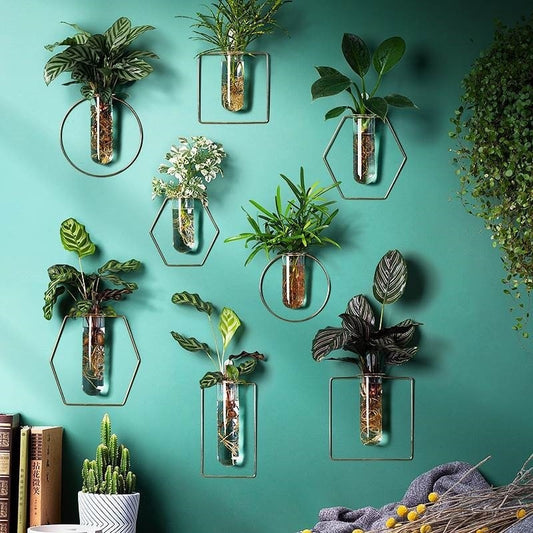 Vase Decoration Wall-mounted Hydroponic Flowerpot Hanging Wall Hanging Treasure of gems